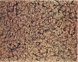 Omaggio a Tobey, 1978